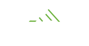 Maxmore Logo