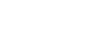 VRS Logo
