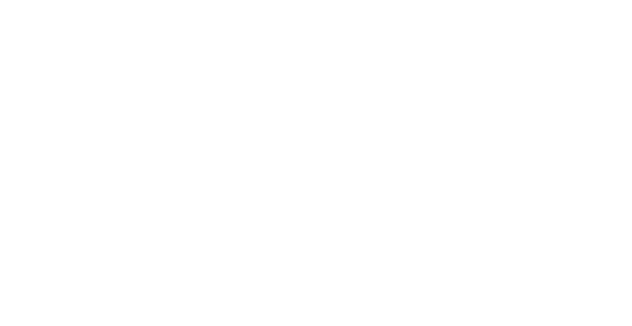 VRS Logo